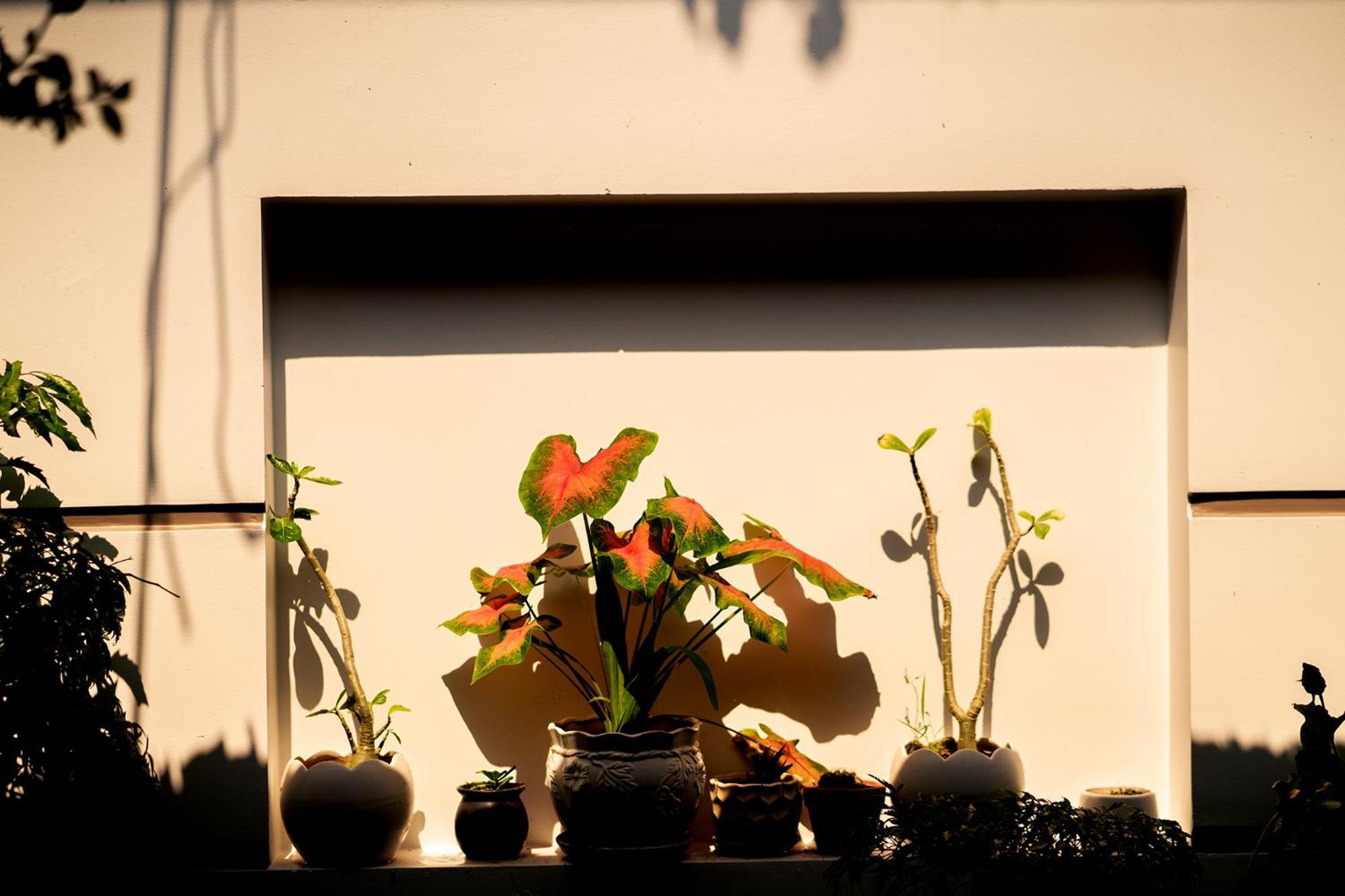 Hoi An Garden Sea Homestay Экстерьер фото